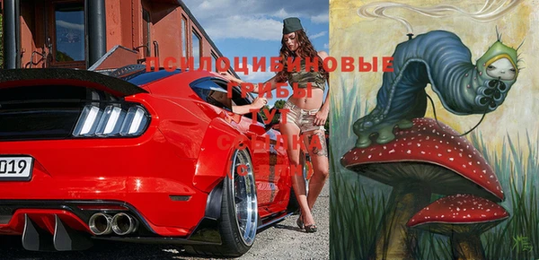 бошки Аркадак
