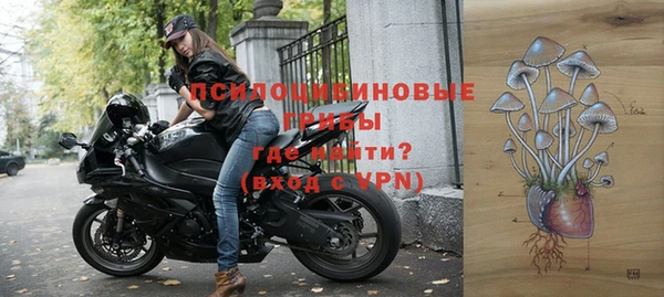 ECSTASY Армянск