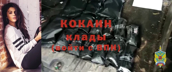 бошки Аркадак