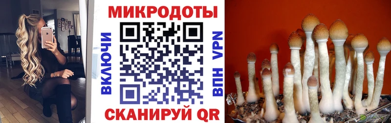 Псилоцибиновые грибы Magic Shrooms купить Сортавала
