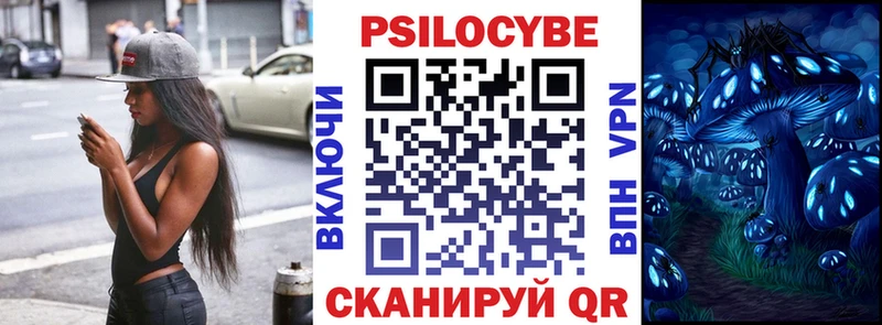 Псилоцибиновые грибы Psilocybine cubensis Сортавала